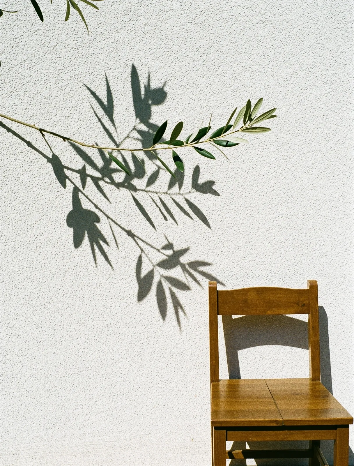 Minimalist architectural shadow